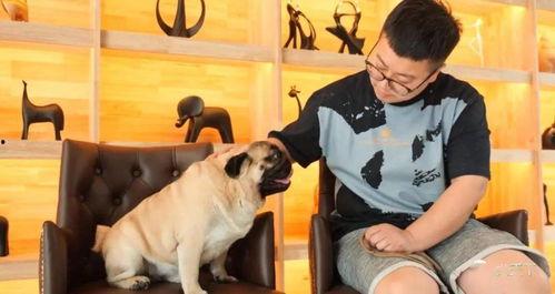 巴哥全新爆料视频播放,独家内幕大公开！