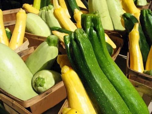 吃瓜娱乐营养,营养生活新风尚  第3张